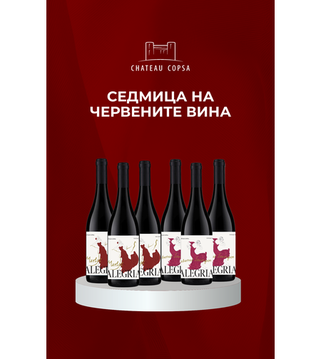 BOX АЛЕГРИЯ DUO Selection