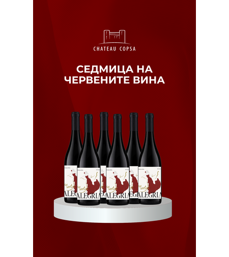 BOX АЛЕГРИЯ МЕРЛО