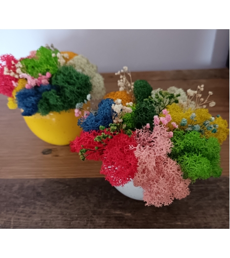 Кашпа със скандинавски мъх микс