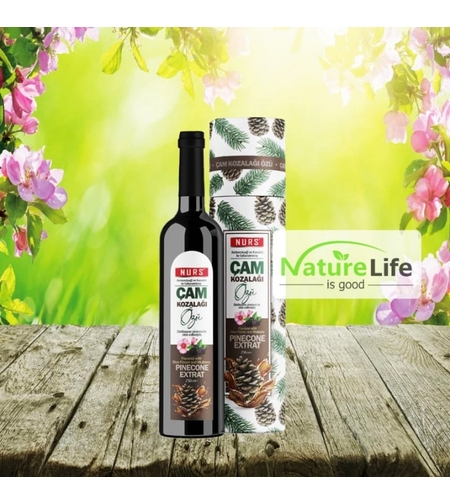 NURS Билков сироп с борови шишарки - 250мл.