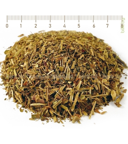 Лечебно сапуниче стрък - при бронхит и кашлица 40гр