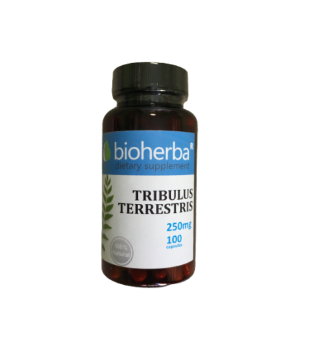 TRIBULUS TERESTRIS Бабини зъби 250 мг/100 капс.
