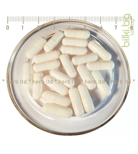 Празни капсули за лекарства и добавки желатинови - размер 0,500 мг, CapsCanada 120бр