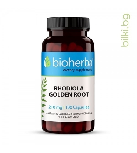 Златен корен – Родиола, при стрес и умора, Bioherba, 210 мг, 100 капсули