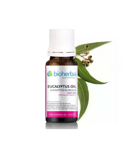 ЕВКАЛИПТОВО МАСЛО EUCALYPTUS OIL 10мл