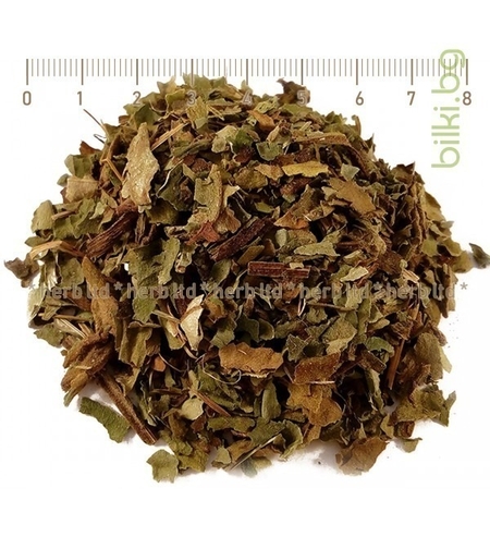 Лечебна Медуница лист - при кашлица и секрети, Меча пита, Pulmonaria officinalis 30гр