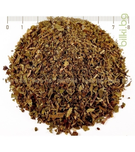 Босилек лист ронен, Ocimum basilicum 40гр