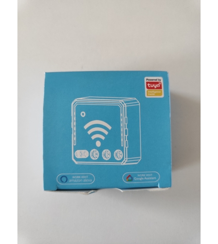 Mini smart switch module