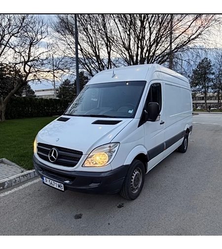 MERCEDES-BENZ SPRINTER 313 (2010)