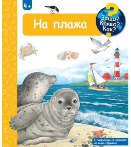 Защо? Какво? Как? - На плажа