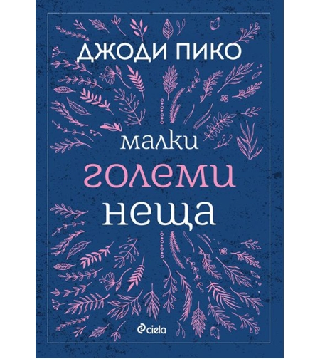 Малки големи неща - Джоди Пико