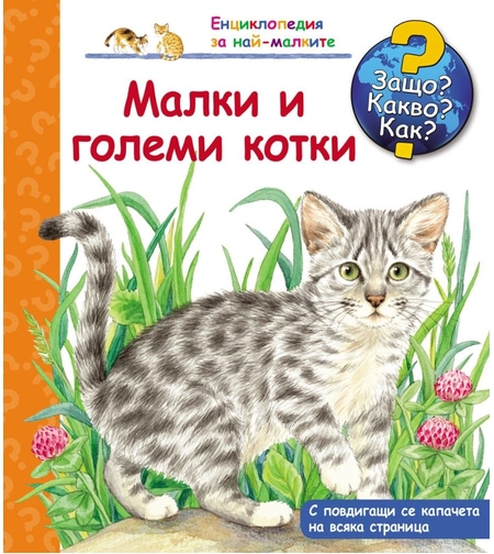 Малки и големи котки - Защо? Какво? Как? - Колектив