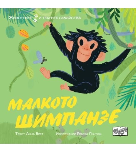 Животните и техните семейства - малкото шимпанзе