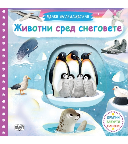 Малки изследователи - Животни сред снеговете
