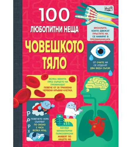 100 Любопитни неща - Човешко тяло