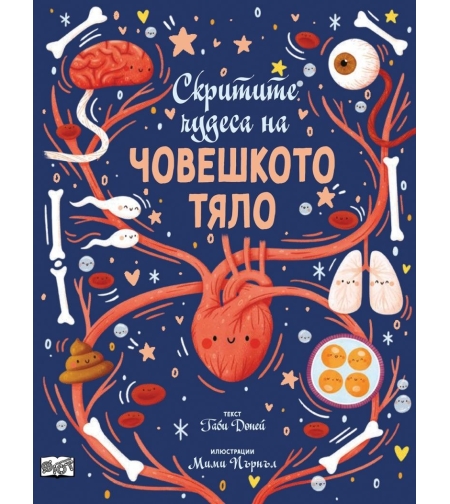 Скритите чудеса на човешкото тяло - Габи Доней