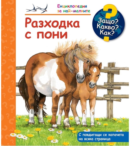 Защо? Какво? Как? - Разходка с Пони