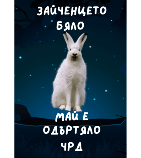 Картичка - Зайченцето бяло май е одъртяло