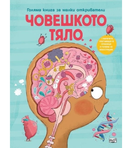 Голяма книга за малки откриватели - Човешкото тяло