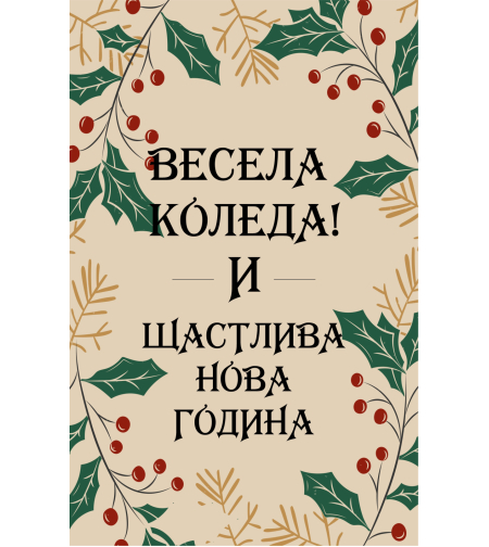 Коледен магнит 21