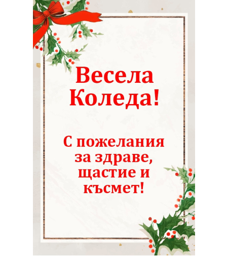 Коледен магнит 4