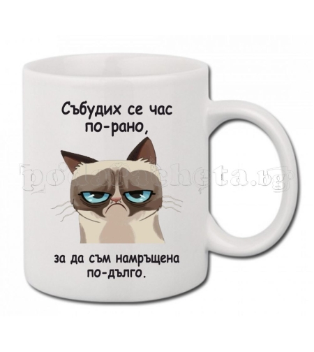 Бяла керамична чаша - Grumpy cat 9