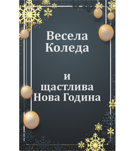 Коледен магнит 5