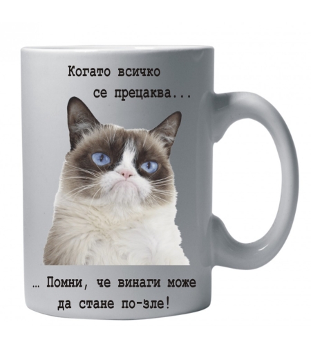 Бяла керамична чаша - Grumpy Cat 46
