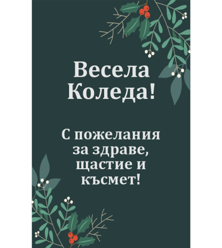 Коледен магнит 1
