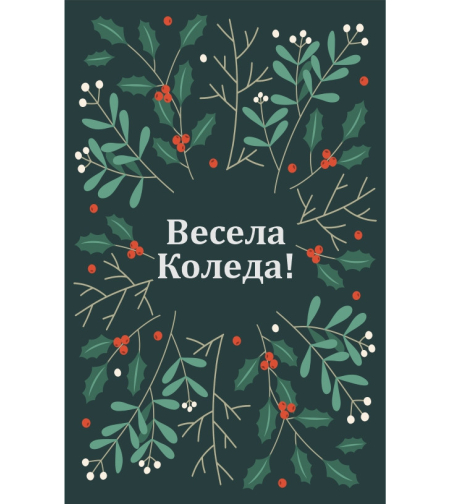 Коледен магнит 2