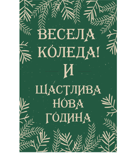 Коледен магнит 25