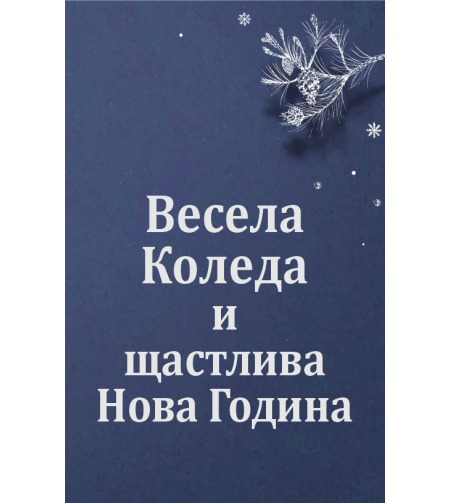 Коледен магнит 14