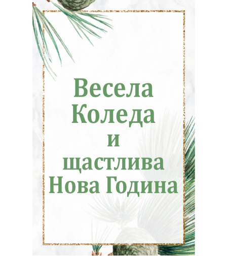 Коледен магнит 15