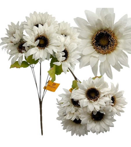 Бял слънчоглед