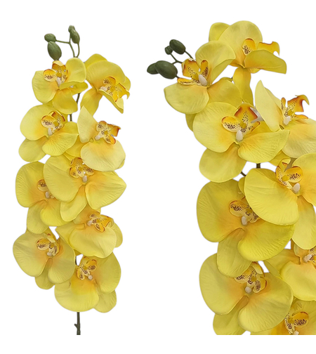 ОРХИДЕЯ СТРЪК