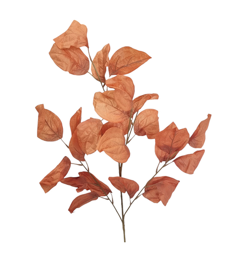 Есенни клонки