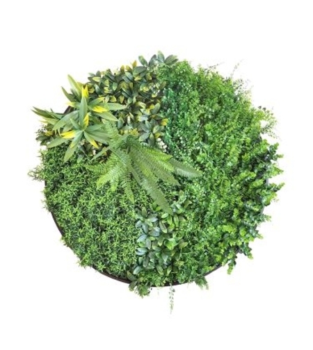 Пано ф80см изкуствена зелена декорация My Garden Beauty Secret Frame CCGA110V