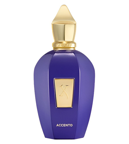 Xerjoff Accento EDP 100 ml U