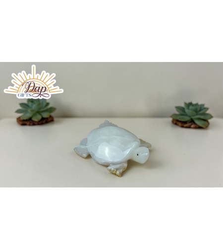 ОНИКС Костенурка (5300000)