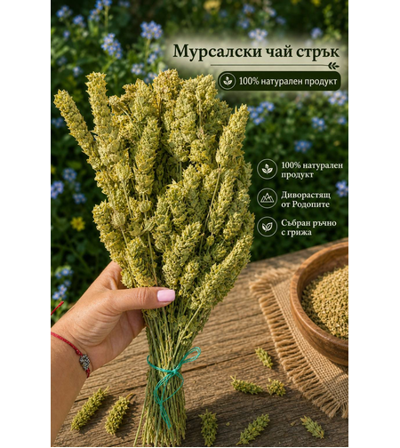 Мурсалски чай – стрък