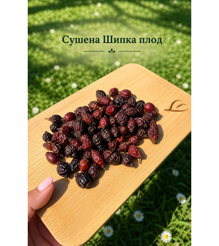 Сушена шипка - плод