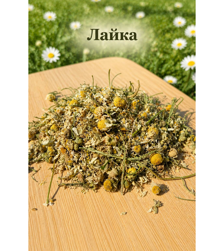 Chamomile Flowers (Matricaria chamomilla)