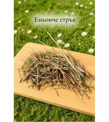 Еньовче стрък