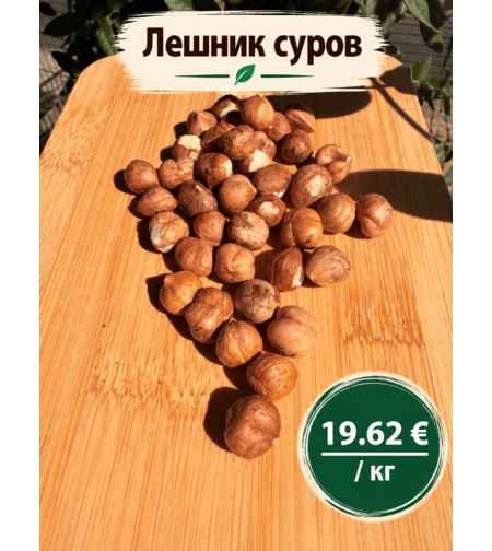 Лешник суров