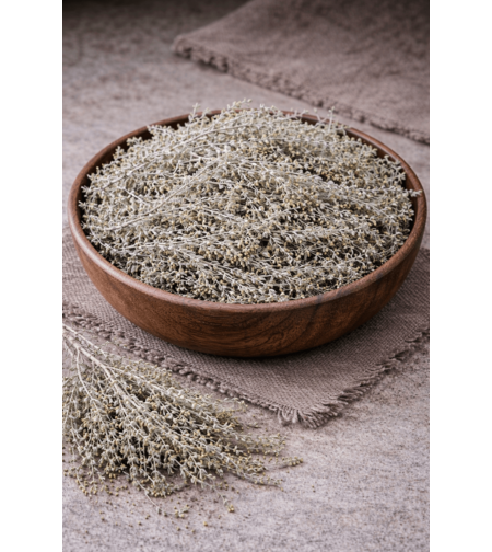 Пелин – стрък