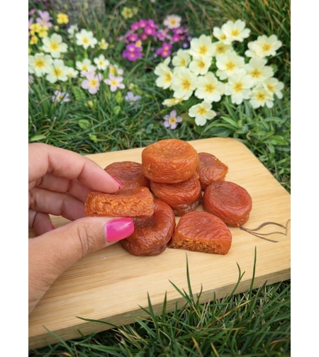 Dried Apricots – Extra Quality