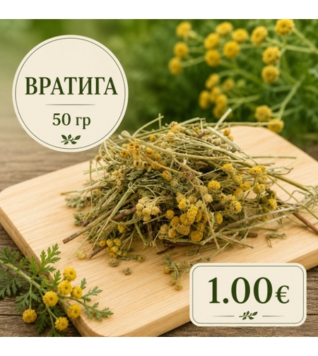 Вратига