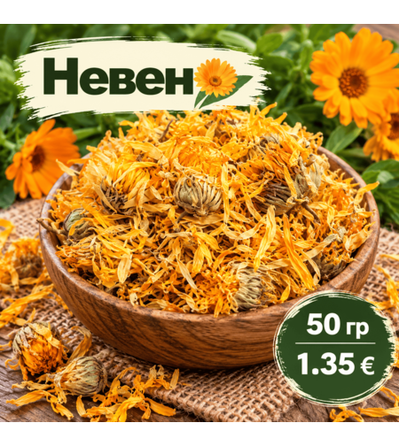 Невен – цвят