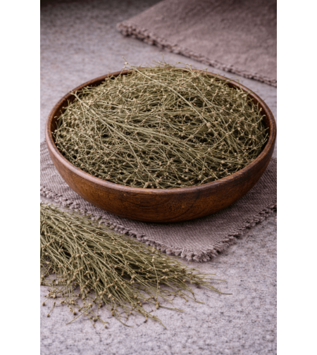 Полски хвощ – стрък