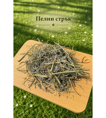 Пелин – стрък
